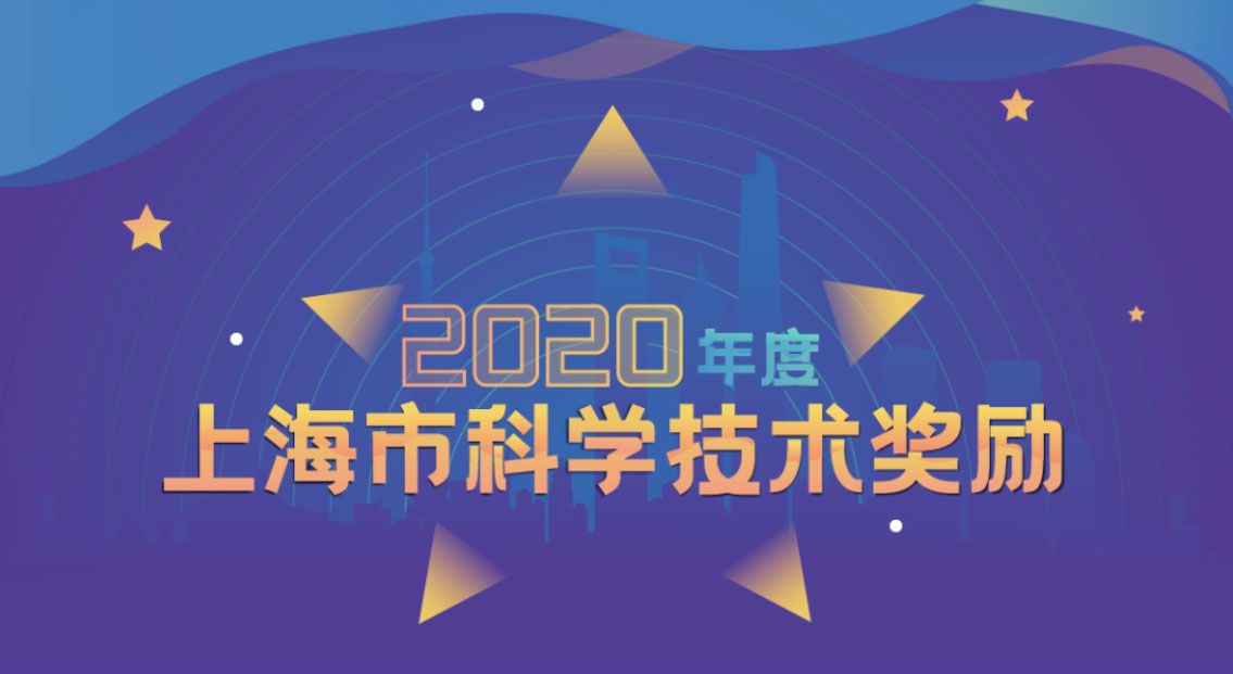 “中国智造、永利集团304登录服务”攀科技高峰——永利集团304登录集团洋山四期自动化集装箱码头荣膺科技进步特等奖